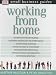Working from Home (Small Business Guides)