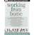 Working from Home (Small Business Guides)
