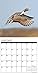 Waterfowl 2017 Wall Calendar