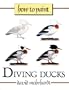 How to Paint Diving Ducks