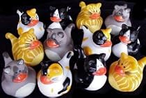 12 Mini CAT Kitty Rubber Duckie Ducky Duck Party Favors