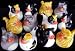 Toys : 1 Dozen Kitty Cat Rubber Duckies Party Favors