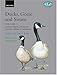 Ducks, Geese, and Swans: 2-Volume Set (Bird Families of the World)