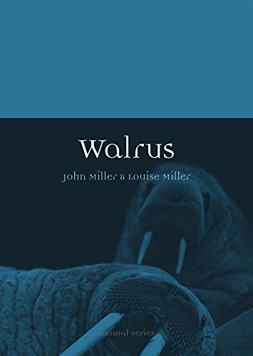 Walrus (Animal)