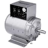 Two-bearing generator with 8000w and 120/240v-1ph