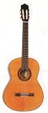 Arbor Classical Guitar