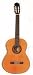 Arbor Classical Guitar