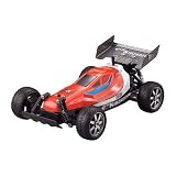 RC Buggy