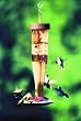 Schrodt Designs Model HBL-HPG Gold Hummingbird Paradise Feeder