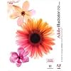 Adobe Illustrator CS2.0 日本語版 Macintosh版