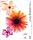 Adobe Illustrator CS2.0 ���{��� Macintosh��