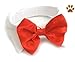 Red Satin Formal Bow Tie and Collar with Button Pin- Dog Sizes XS thru 3XL (X-Large- fits Neck 19