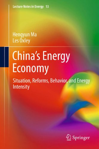 China's Energy Economy: Situation, Reforms, Behavior, and Energy Intensity: 13 (Lecture Notes in Energy)