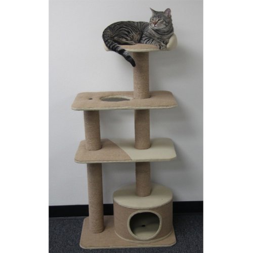 PetPal Furniture 22 Inch 15 Inch 52 Inch