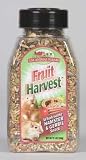 FRUIT HARVEST HAMSTER & GERBIL JAR 12.5oz