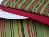 Tululah Designs Fireplace Stripe Sour Apple Striped Napkins Set of 4
