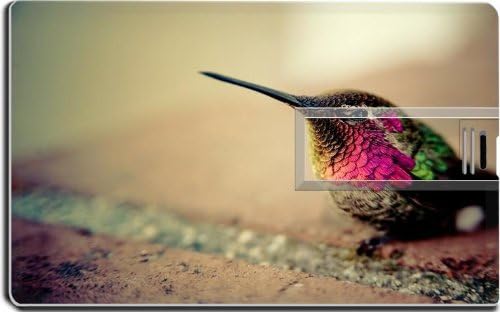 Multicolor Birds Bokeh Shot Hummingbirds 16G USB Flash Drive 2.0 Memory Stick MSD USB Credit Card Size Customized Support Services Ready Windows Mac Storage External