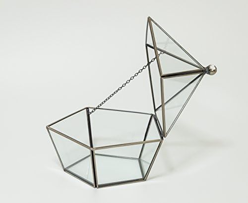 Bloomgreen Vintage Starbox Glass Terrarium for Succulents