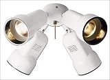 Review Hunter Fan Company  / Hunter 26115WH 4-Light Bullet Spotlight 240watt White