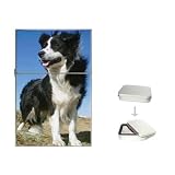 Border Collie Flip Top Lighter