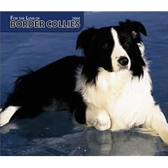 For the Love of Border Collies Deluxe 2004 Calendar