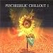 Search : Psychedelic Chillout