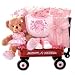 Baby : "Beary Ballerina" Baby Girl Gift Basket