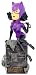 Headstrong Villains Dynamic Bobble Head: Catwoman