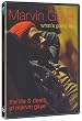 Marvin Gaye: What's Going On