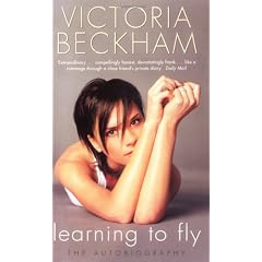 Learning to Fly