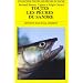 Toutes les peches du sandre