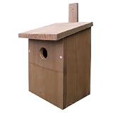 Produkt-Information