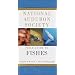 National Audubon Society Field Guide to North American Fishes