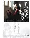 白バラの祈り -ゾフィー･ショル、最期の日々- [DVD]
