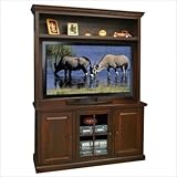 Roosevelt Park 55.5" Entertainment Center in Brown Cherry