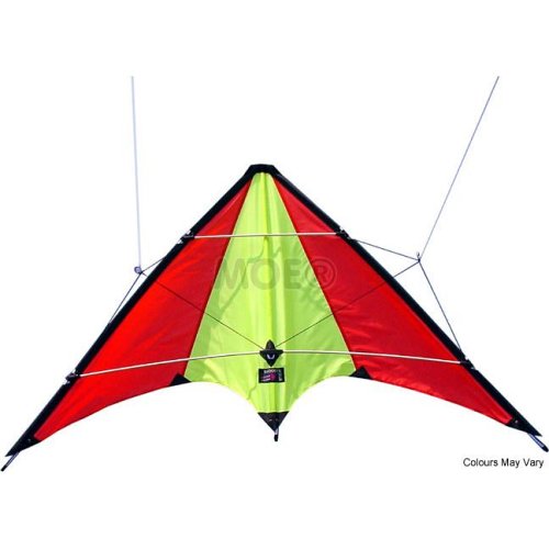 Childrens Toyshop  Toys : Alpine Sports Kite