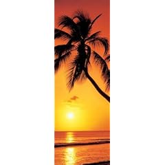 Empire 170279 Beaches - Palm Sunset, T�rposter / XXL Poster ca. 158 x 53 cm