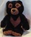 Cubby Bear from Ranger Rick and His Friends