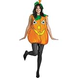 Pumpkin Pie Costume Adult Plus