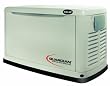 Guardian 5503 14,000 Watt Air-Cooled Propane/Natural Gas Powered Home Automatic Standby Generator With Steel Enclosure (Non-CARB Compliant)
