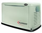 Guardian 5503 14,000 Watt Air-Cooled Propane/Natural Gas Powered Home Automatic Standby Generator With Steel Enclosure (Non-CARB Compliant)