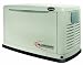 Guardian 5503 14,000 Watt Air-Cooled Propane/Natural Gas Powered Home Automatic Standby Generator With Steel Enclosure (Non-CARB Compliant)