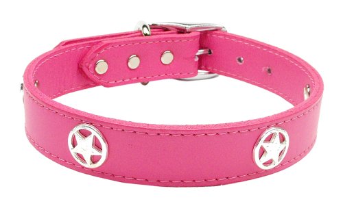 western style dog collars
