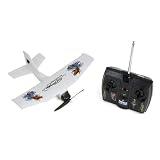 Ed Hardy Special Edition Single Wing RTF Electric RC Airplane-Random Design by