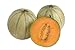 Melons Charentais - 36"W x 24"H - Peel and Stick Wall Decal by Wallmonkeys