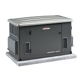 Briggs and Stratton 20 kW Empower Automatic Start Standby Liquid Propane Generator