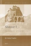 Shayzar I : the fortification of the citadel