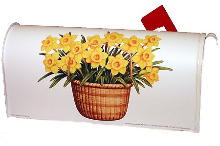 Daffodils in Nantucket Basket By Mailboxtops