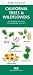 Book California Trees & Wildflowers: An Introduction to Familiar Species (Pocket Naturalist Series)