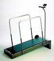 Health Walker Treadmill w/o Side Rails